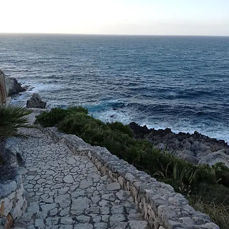 Nereidi 2 招待所 *